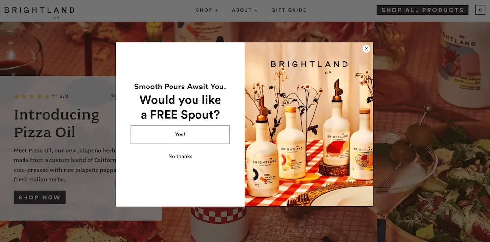 Image shows first page of a multi-step sign-up form from Brightland, which offers a free gift in exchange for the visitor’s contact information.